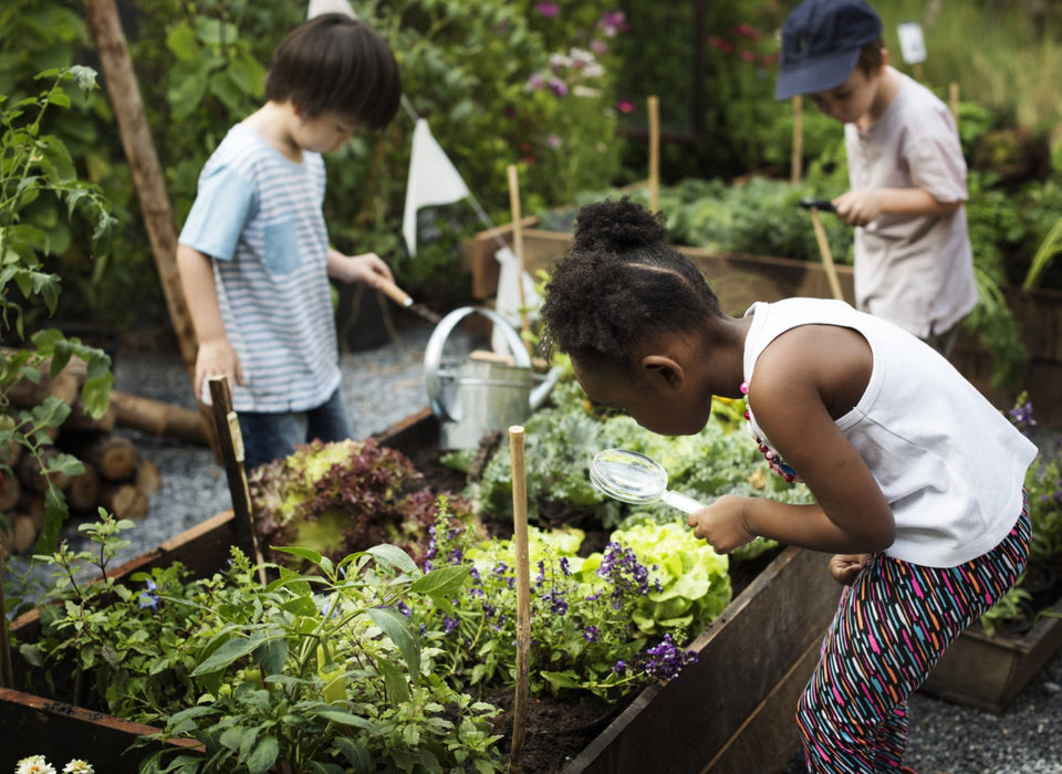 Teaching Kids Gardening: 3 Simple Steps